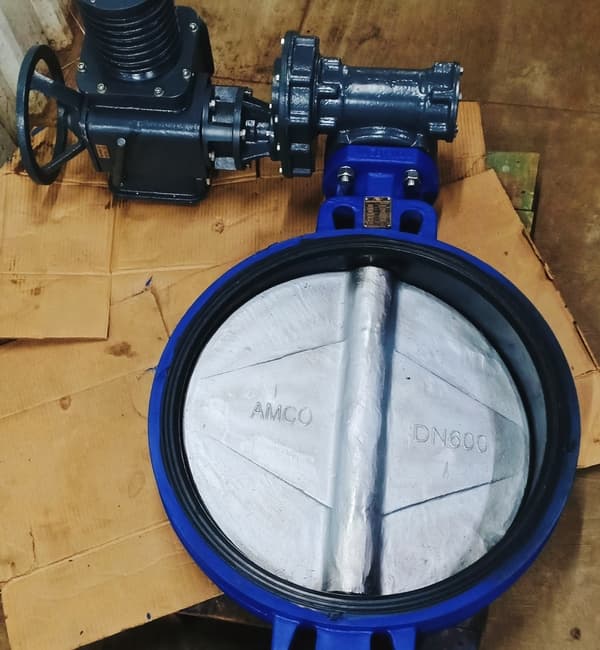 Wafer Semi Lugged BFV View 6