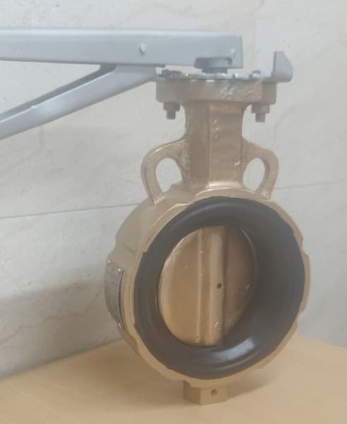 Wafer Semi Lugged BFV View 7