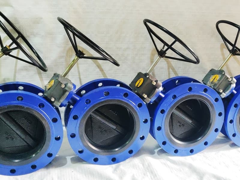 Double Flanged BFV View 2