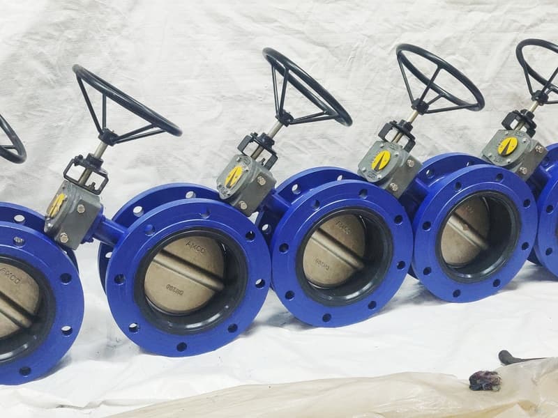 Double Flanged BFV View 3
