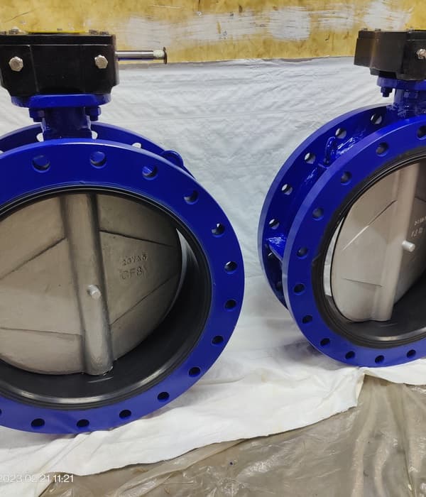 Double Flanged BFV View 5