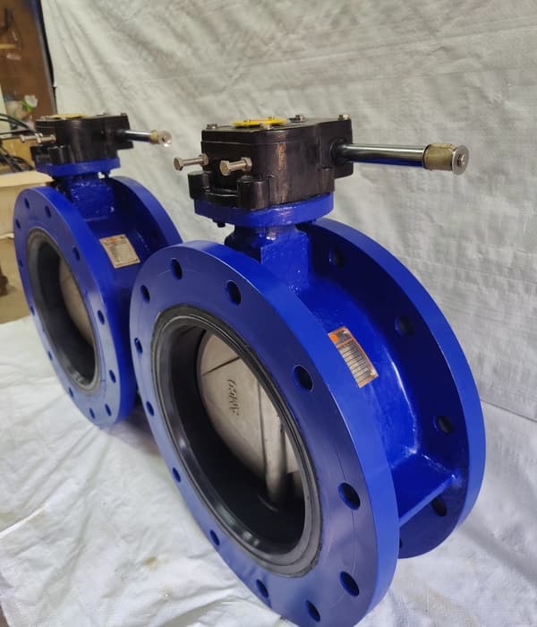 Double Flanged BFV View 6