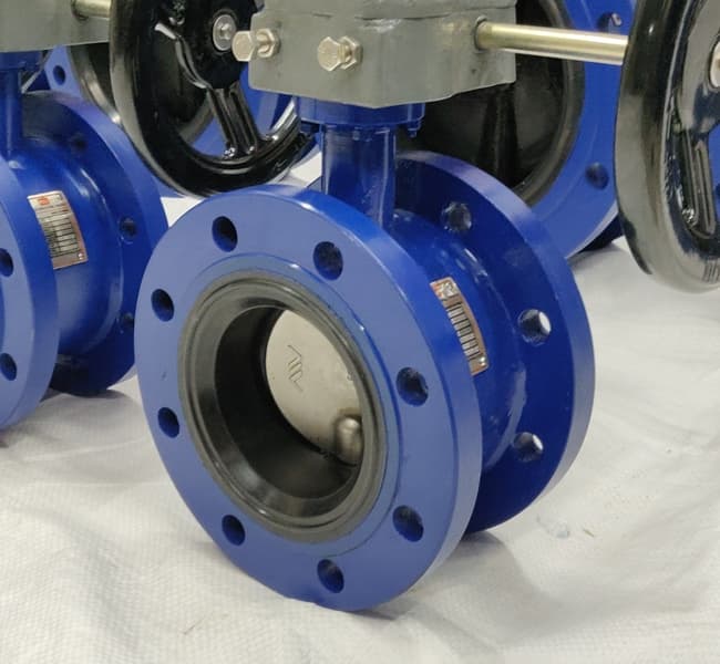 Double Flanged BFV View 8