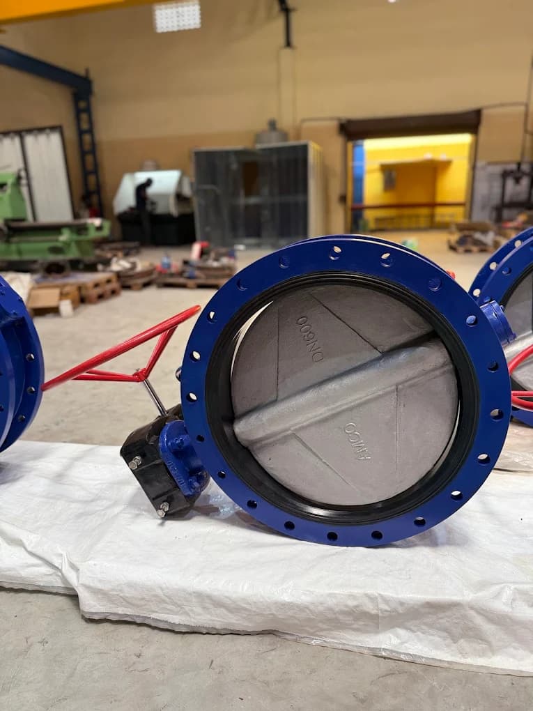 Double Flanged BFV View 9