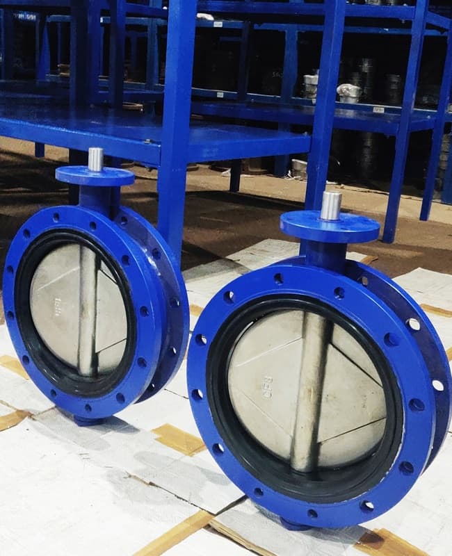 Wafer Flanged BFV View 2