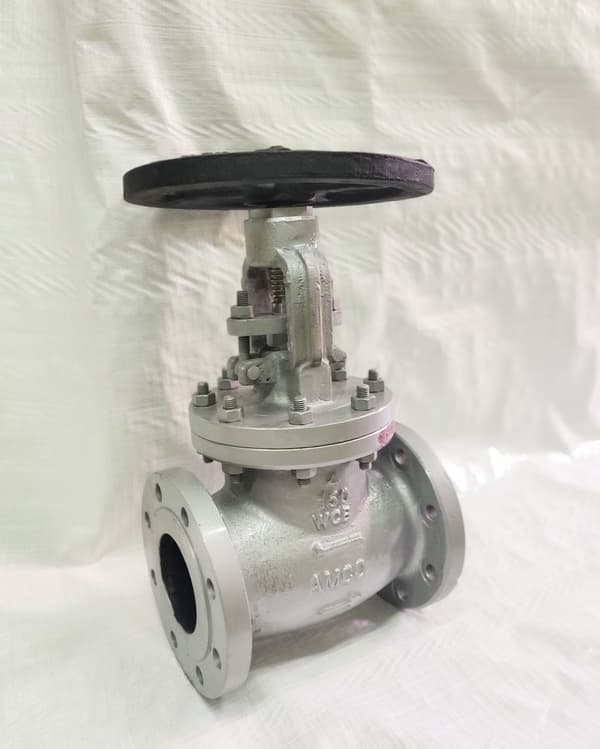 Large Bore Cast Globe Valve View 2