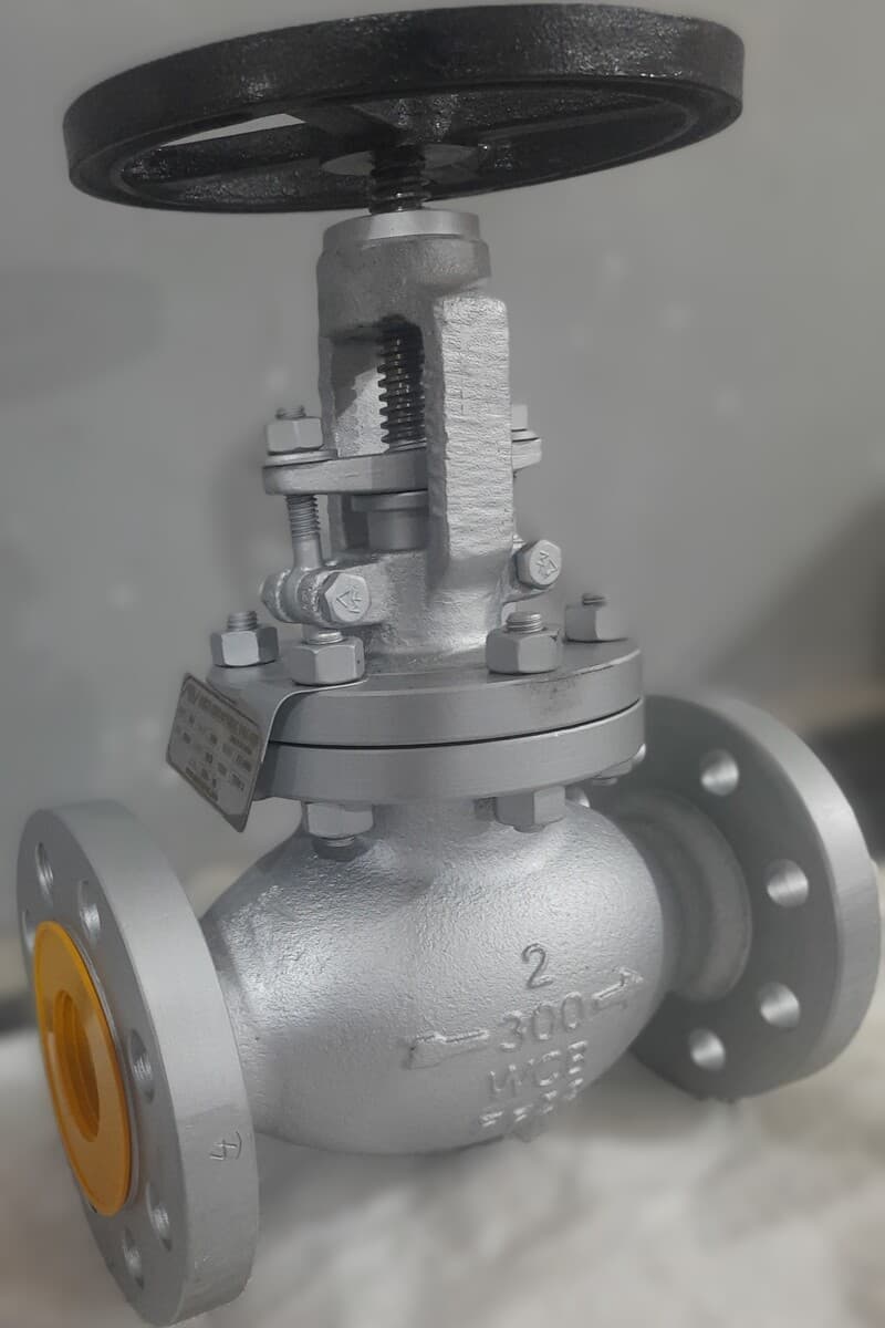 Large Bore Cast Globe Valve View 3