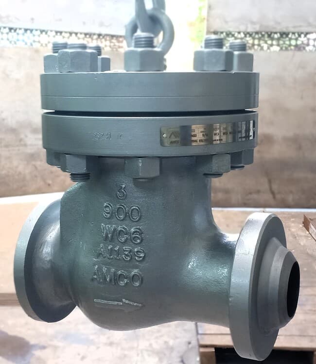 Large Bore Cast Swing Check Valve View 2