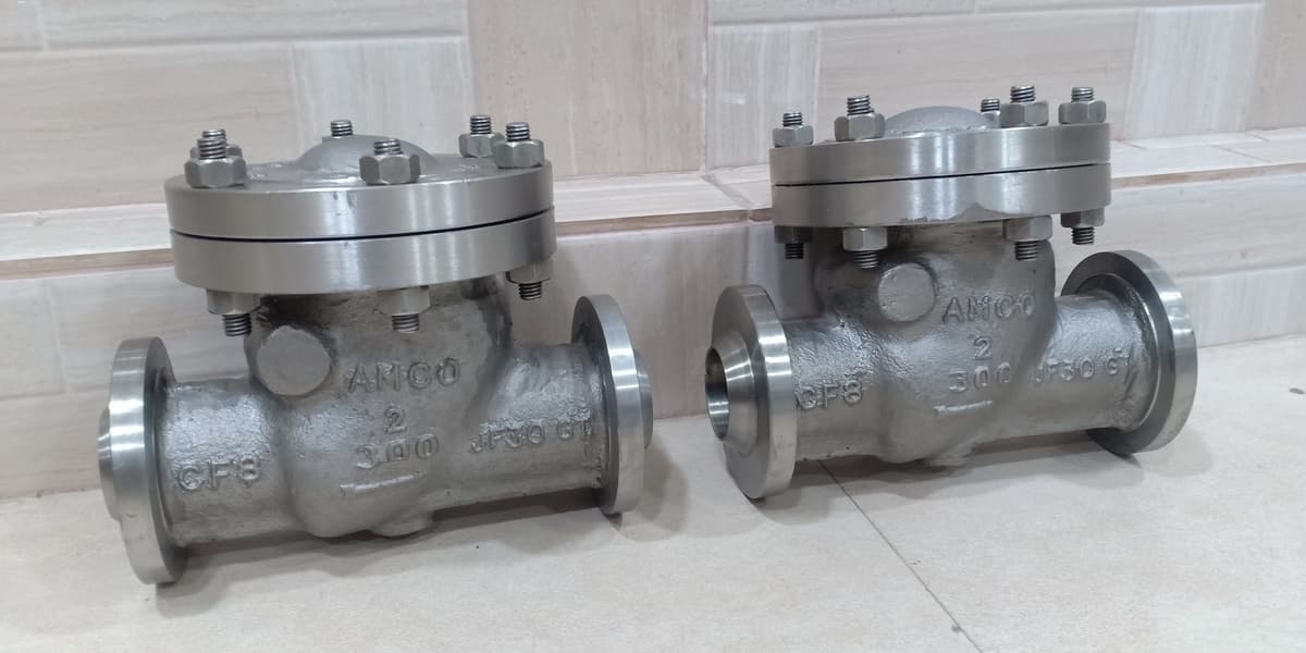 Large Bore Cast Swing Check Valve View 3