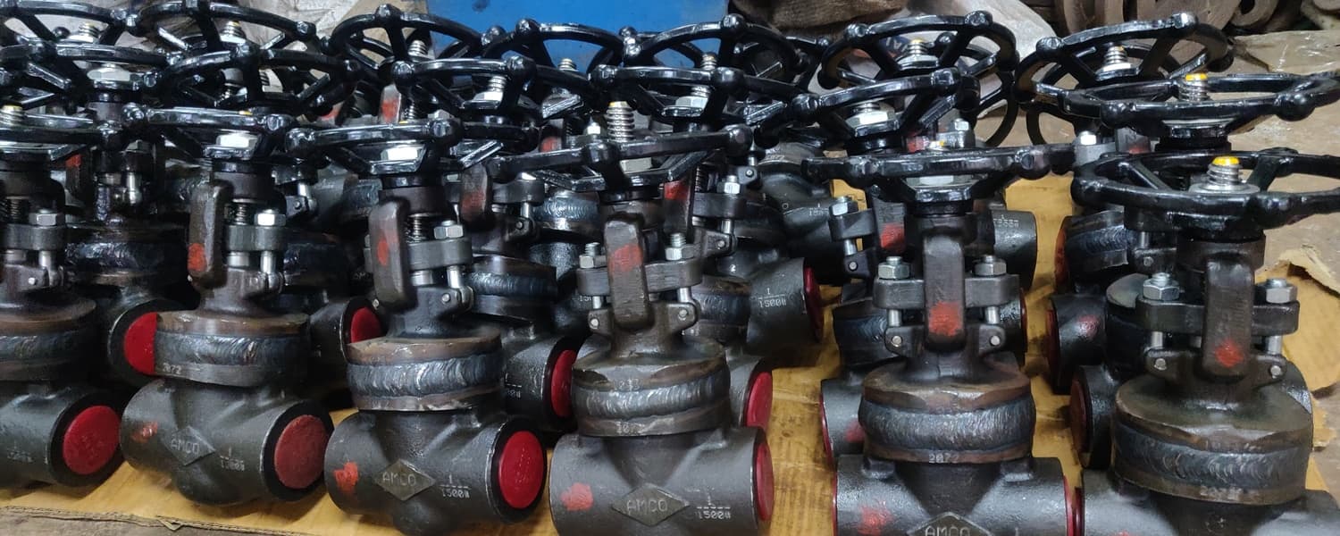 Small Bore Forged Gate Valve View 2