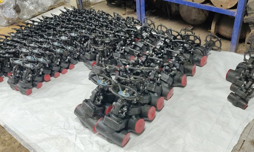 Small Bore Forged Globe Valve View 2
