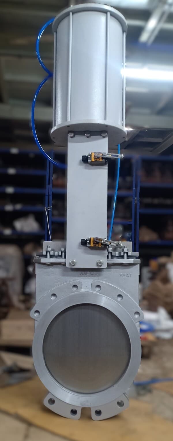 Uni-Directional Wafer Lugged Resilient Seat View 2