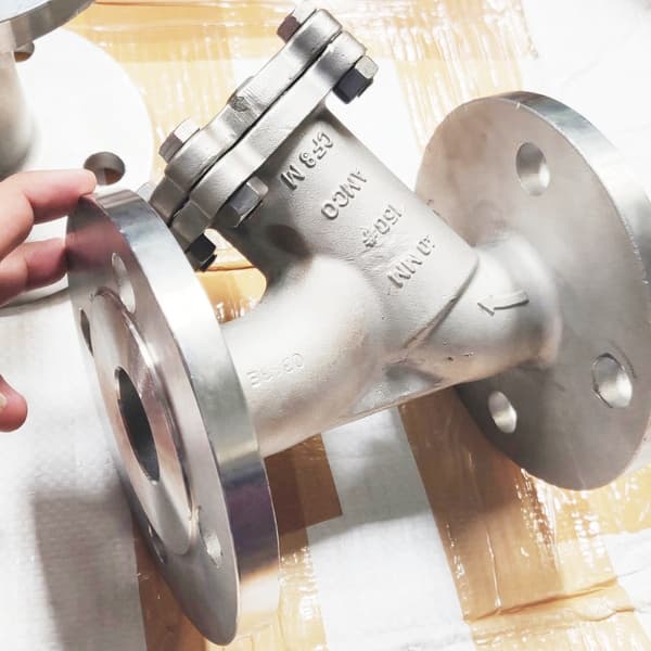 Y Strainer Flanged View 2