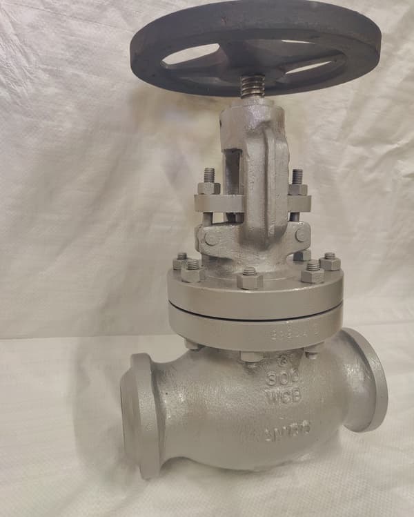 Large Bore Cast IBR & Non IBR Globe Valve