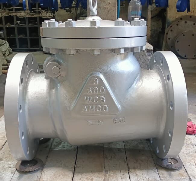 Large Bore Cast IBR & Non IBR Swing check Valve