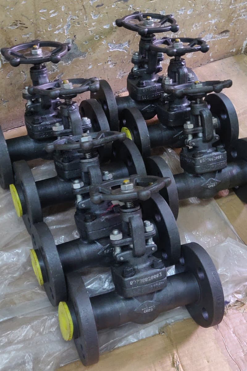 Small Bore Forged IBR & Non IBR Globe Valve