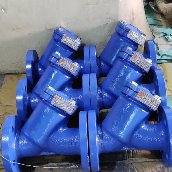 Y Strainer - Flanged